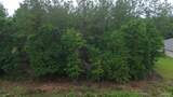 Lot 86 Pineview Church Rd - Photo 3