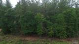Lot 86 Pineview Church Rd - Photo 4