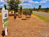 Lot 48 South Timber Ln - Photo 10