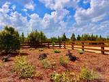 Lot 48 South Timber Ln - Photo 11