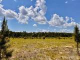 Lot 48 South Timber Ln - Photo 13