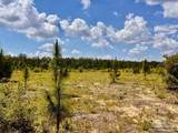Lot 48 South Timber Ln - Photo 14