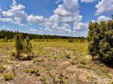 Lot 48 South Timber Ln - Photo 15