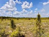 Lot 48 South Timber Ln - Photo 16