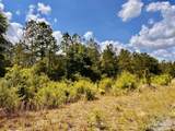 Lot 48 South Timber Ln - Photo 18