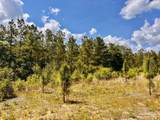 Lot 48 South Timber Ln - Photo 20