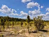 Lot 48 South Timber Ln - Photo 22