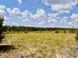 Lot 48 South Timber Ln - Photo 3