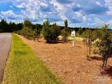 Lot 48 South Timber Ln - Photo 9