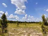 Lot 49 South Timber Ln - Photo 13
