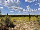 Lot 49 South Timber Ln - Photo 14