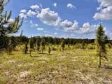 Lot 49 South Timber Ln - Photo 16