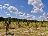 Lot 49 South Timber Ln - Photo 17