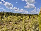 Lot 49 South Timber Ln - Photo 18
