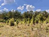 Lot 49 South Timber Ln - Photo 19