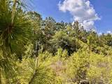 Lot 49 South Timber Ln - Photo 21
