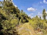 Lot 49 South Timber Ln - Photo 25