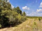 Lot 49 South Timber Ln - Photo 27