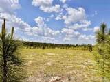 Lot 49 South Timber Ln - Photo 3