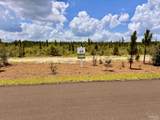 Lot 49 South Timber Ln - Photo 4