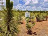 Lot 51 South Timber Ln - Photo 10