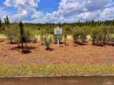 Lot 51 South Timber Ln - Photo 11