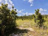 Lot 51 South Timber Ln - Photo 12