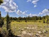 Lot 51 South Timber Ln - Photo 13