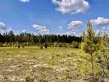 Lot 51 South Timber Ln - Photo 14