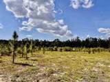 Lot 51 South Timber Ln - Photo 15