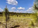 Lot 51 South Timber Ln - Photo 16