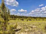 Lot 51 South Timber Ln - Photo 17