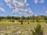 Lot 51 South Timber Ln - Photo 18