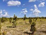 Lot 51 South Timber Ln - Photo 24