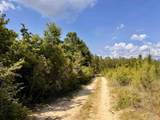 Lot 51 South Timber Ln - Photo 28