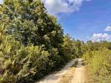 Lot 51 South Timber Ln - Photo 29