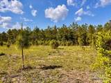 Lot 53 South Timber Ln - Photo 11