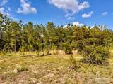 Lot 53 South Timber Ln - Photo 12