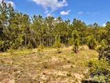 Lot 53 South Timber Ln - Photo 13