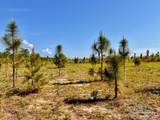 Lot 53 South Timber Ln - Photo 14