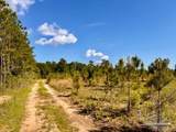Lot 53 South Timber Ln - Photo 15