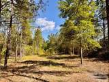 Lot 53 South Timber Ln - Photo 18