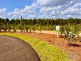 Lot 53 South Timber Ln - Photo 2
