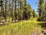 Lot 73 Naturewalk Dr - Photo 10