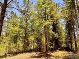 Lot 73 Naturewalk Dr - Photo 11