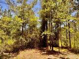 Lot 73 Naturewalk Dr - Photo 12