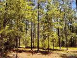 Lot 73 Naturewalk Dr - Photo 13