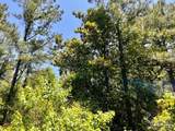Lot 73 Naturewalk Dr - Photo 14