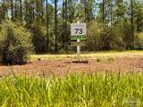 Lot 73 Naturewalk Dr - Photo 2