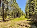 Lot 73 Naturewalk Dr - Photo 9